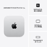 Apple/Mac mini M5 Pro 15コアCPU&16コアGPU/24GBメモリ/512GB SSD/MHQN4J/A Apple/Mac mini M5 Pro 15コアCPU&16コアGPU/24GBメモリ/512GB SSD/MHQN4J/A