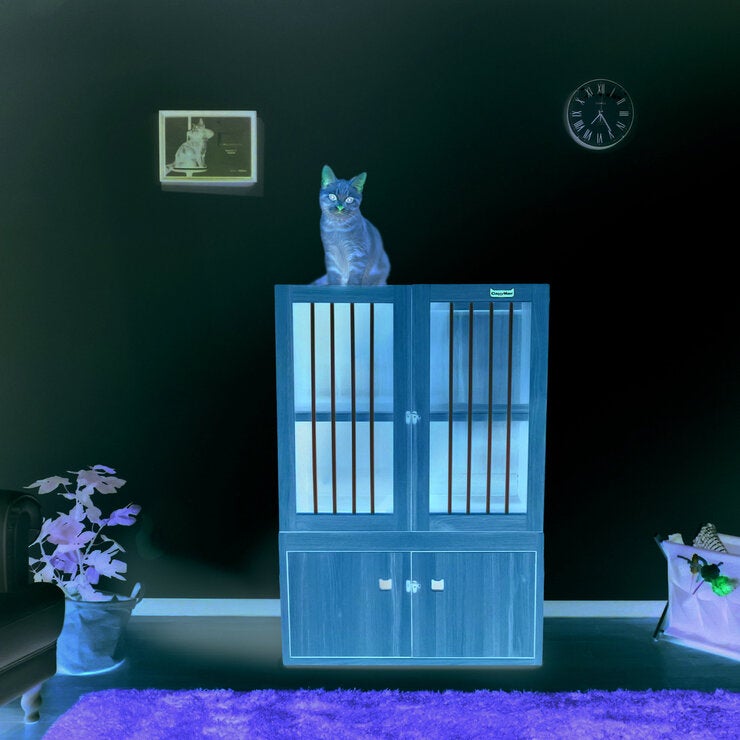 Catty Man インテリアキャットハウス Catty Man インテリアキャットハウス