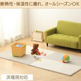 アイリスオーヤマ リバーシブルジョイントマット 16枚 60 x 60cm モカブラウン/ベージュ JMRN-616
