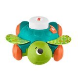 フィッシャープライス リンキマルズ ウミガメ