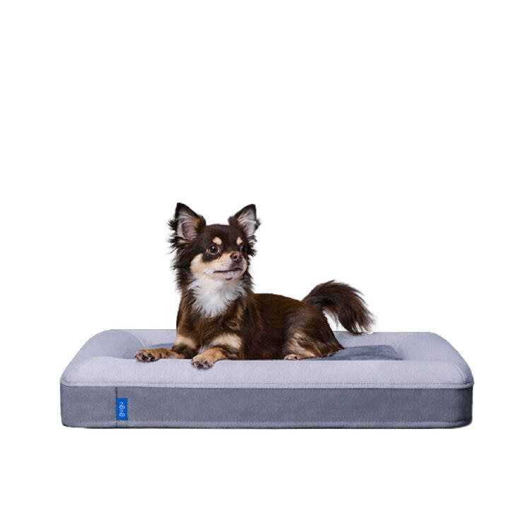 グーグー ドギー ペットベッド XS サイズ | Costco Japan