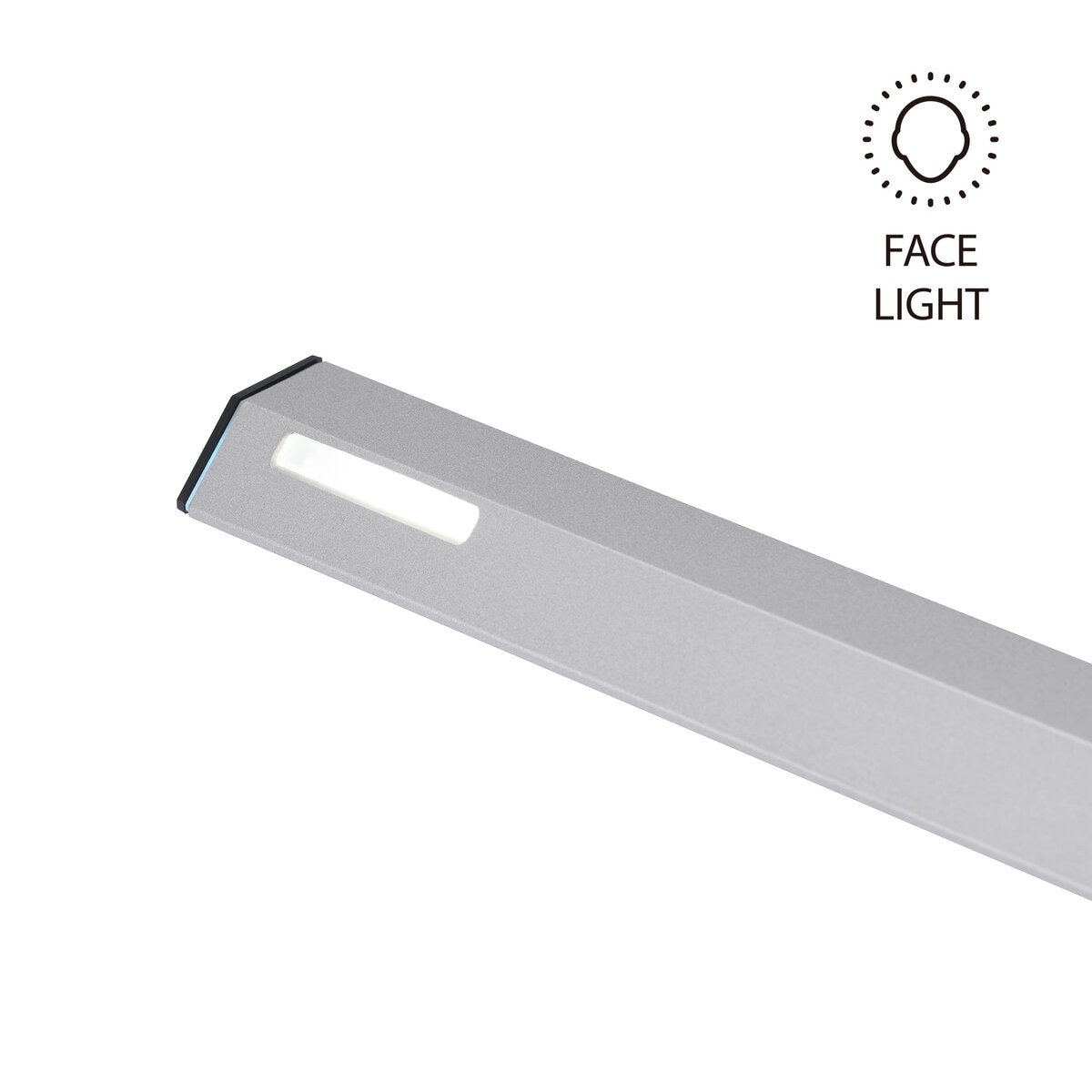 スワン エグザーム ゼータ LED モニターライト メタリックシルバー