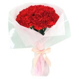 カーネーション 24本 レッド