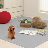 LEC(レック)吸着タイルマット 45 x 45cm 16枚入り ライトグレイ LEC(レック)吸着タイルマット 45 x 45cm 16枚入り ライトグレイ