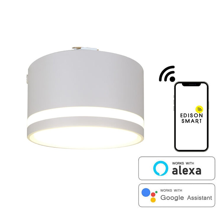 Edison Smart(エジソンスマート) TREOミニシーリングライト ダクト