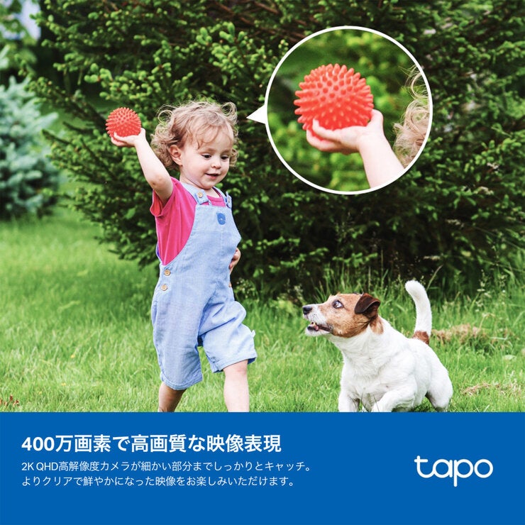 TP-Link tapo フルワイヤレスセキュリティカメラキットC425 KIT