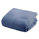 Comforter for Spring, Autumn and Winter Natural Goose Down 95% Single