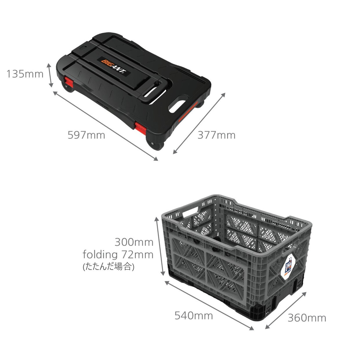 BIG ANT 折りたたみキャリー + 48Lコンテナ