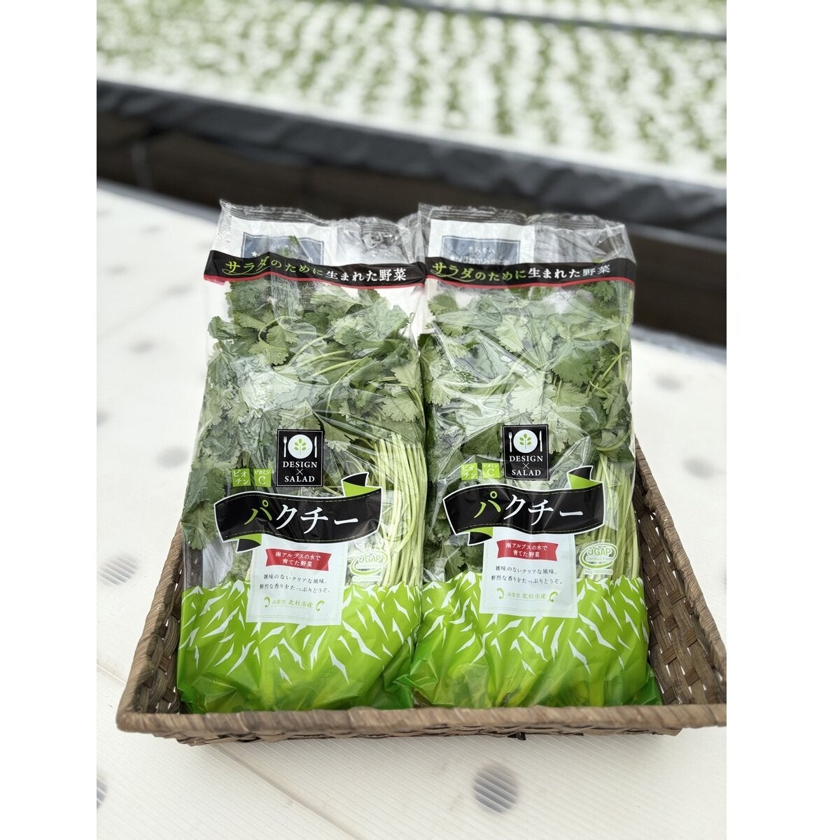 国産パクチー 200g 国産パクチー 200g