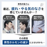 毛髪ホルモン量測定キット~テストステロン~(男性更年期セルフチェックキット) 毛髪ホルモン量測定キット~テストステロン~(男性更年期セルフチェックキット)