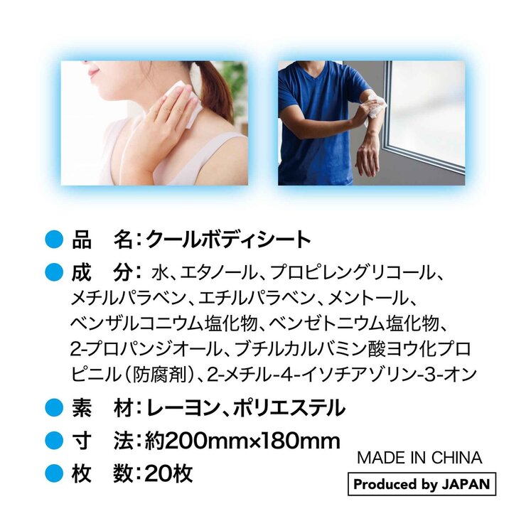 クールボディシート 20シート x 48パック