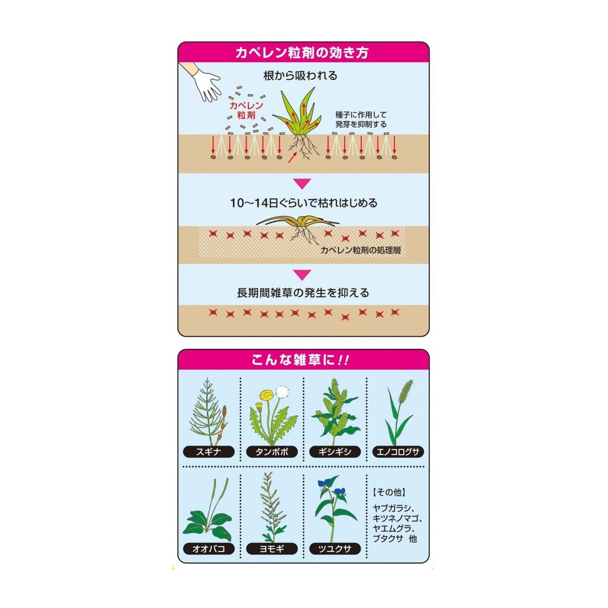 ハイポネックス カペレン粒剤 除草剤 4kg