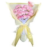 カーネーションの花束 24本 複色/ピンク白 母の日期間配送 お届け日5月5日～5月10日