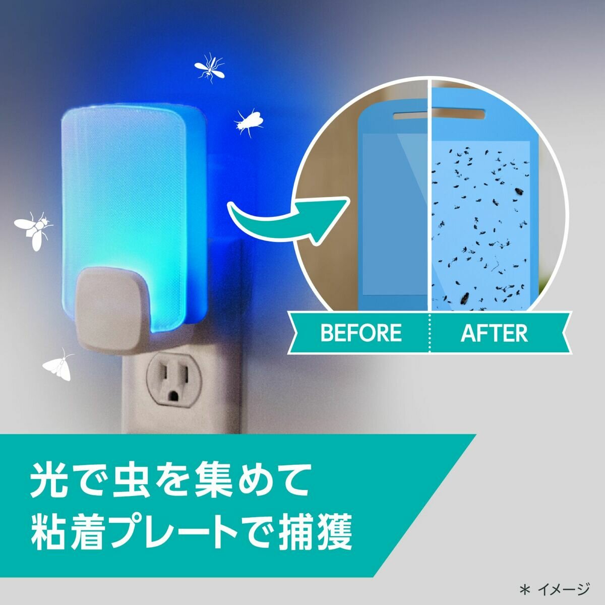 マックスステム ライトトラップ 本体 + 付け替え用プレート 5個 セット