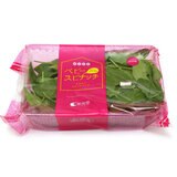 オーガニックベビーほうれん草