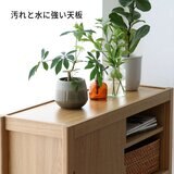 デュアルリビングボード