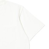 ディッキーズ メンズ 半袖 Tシャツ ホワイト XL