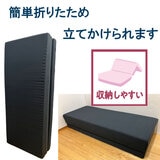 昭和西川 高反発極厚 マットレス DX クイーン 昭和西川 高反発極厚 マットレス DX クイーン