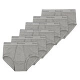 STANFIELDS メンズ ブリーフ 6枚組 XL グレー