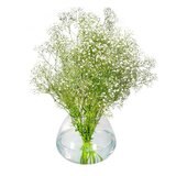 かすみ草ブーケ ホワイト