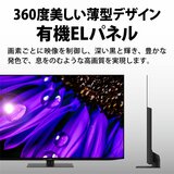 シャープ アクオス 55インチ 4K有機ELテレビ 4T-C55EQ1