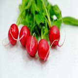 有機ラディッシュ500G