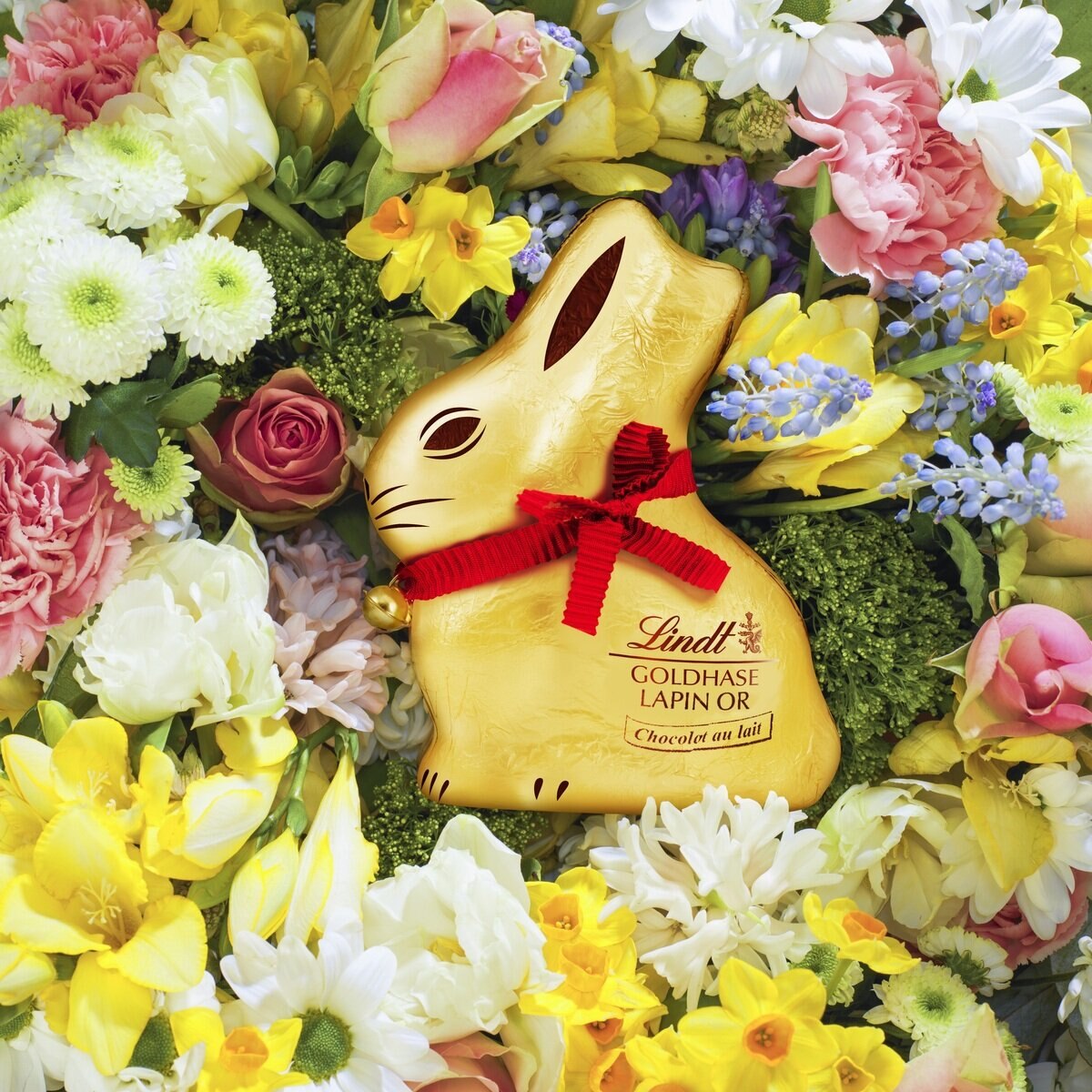 リンツ ゴールドバニー チョコレート1kg