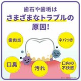 リステリン プロケア 1L x 3本セット