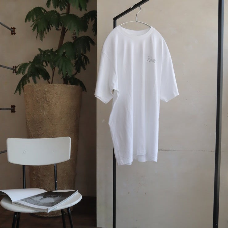 チャナカンパニー Balmy Hanger(バルミーハンガー) 「MOTTEアーチ」 12本セット TP-ECA02-40SLV-6ST チャナカンパニー Balmy Hanger(バルミーハンガー) 「MOTTEアーチ」 12本セット TP-ECA02-40SLV-6ST