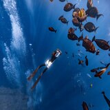 SUBLUE ホワイトシャーク ナブボウ プラス 水中スクーター