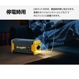 BougeRV 車載冷蔵庫用ポータブルバッテリー　220W