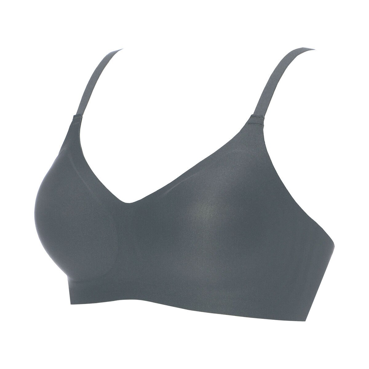 トリンプ・インターナショナル・ジャパン ワイヤーフリー ブラ 2枚組 ダークグレー/アッシュローズ XL