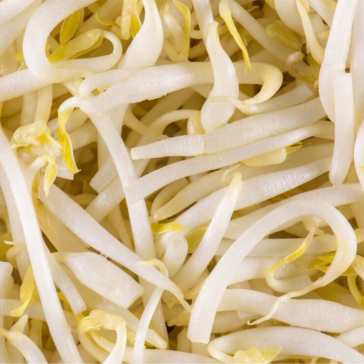 もやし500ｇ