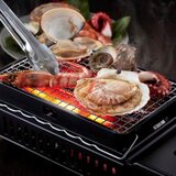 イワタニ 炉端焼器 炙りやⅡ CB-ABR-2