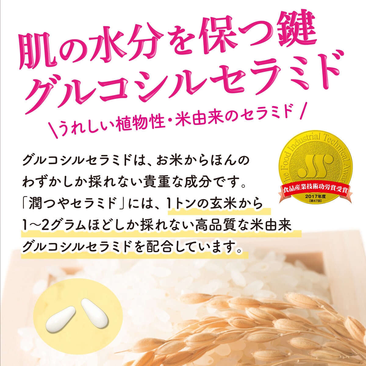 nippn 潤つや セラミド 180粒 (90日分)