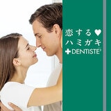 デンティス 歯磨き粉 チューブタイプ 160g x 2本