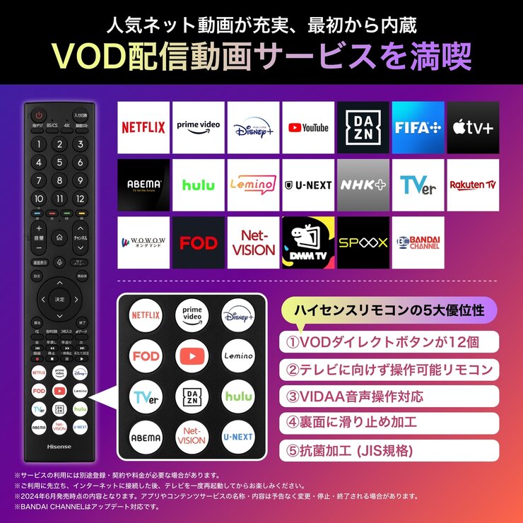 ハイセンス 65インチ MiniLED×量子ドット 4K液晶テレビ 65U9N