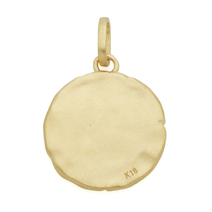 18Kイエローゴールド 星座ペンダントトップ みずがめ座