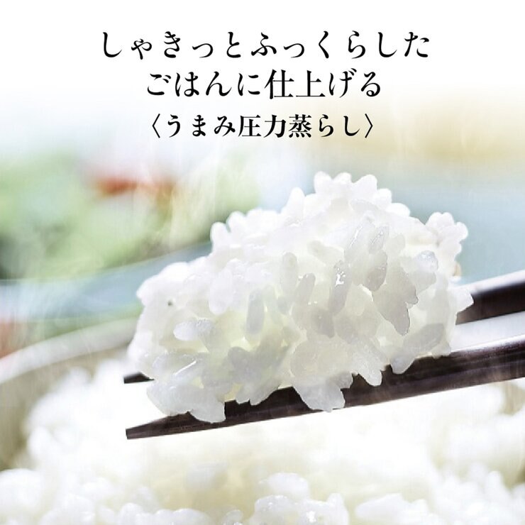 象印 極め炊き 圧力IH炊飯ジャー 1升 NP-ZX18-BA | Costco Japan