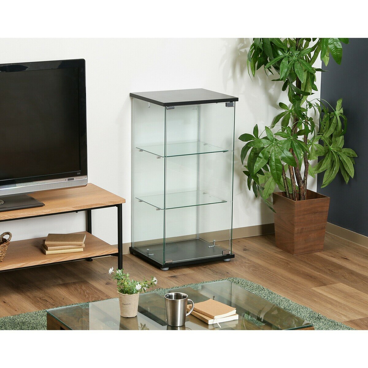 ガラスコレクションケース (クリア) 3段 TMG-G132