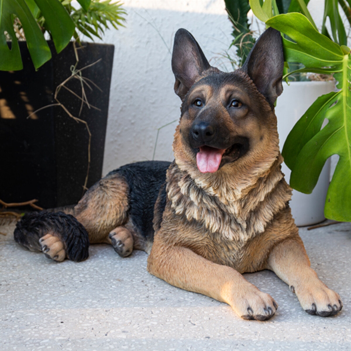 dog_img_1_8a8e76738c23.jpg