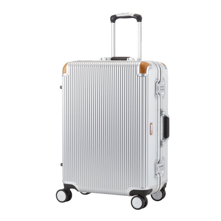 スイスミリタリー プレミアム Cタイプ 64L SM-C624 シルバー