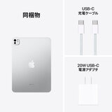 Apple iPad Pro 11インチ M4 WiFi 256GB 標準ガラス搭載 シルバー