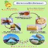 ミニピーチパイン 2kg