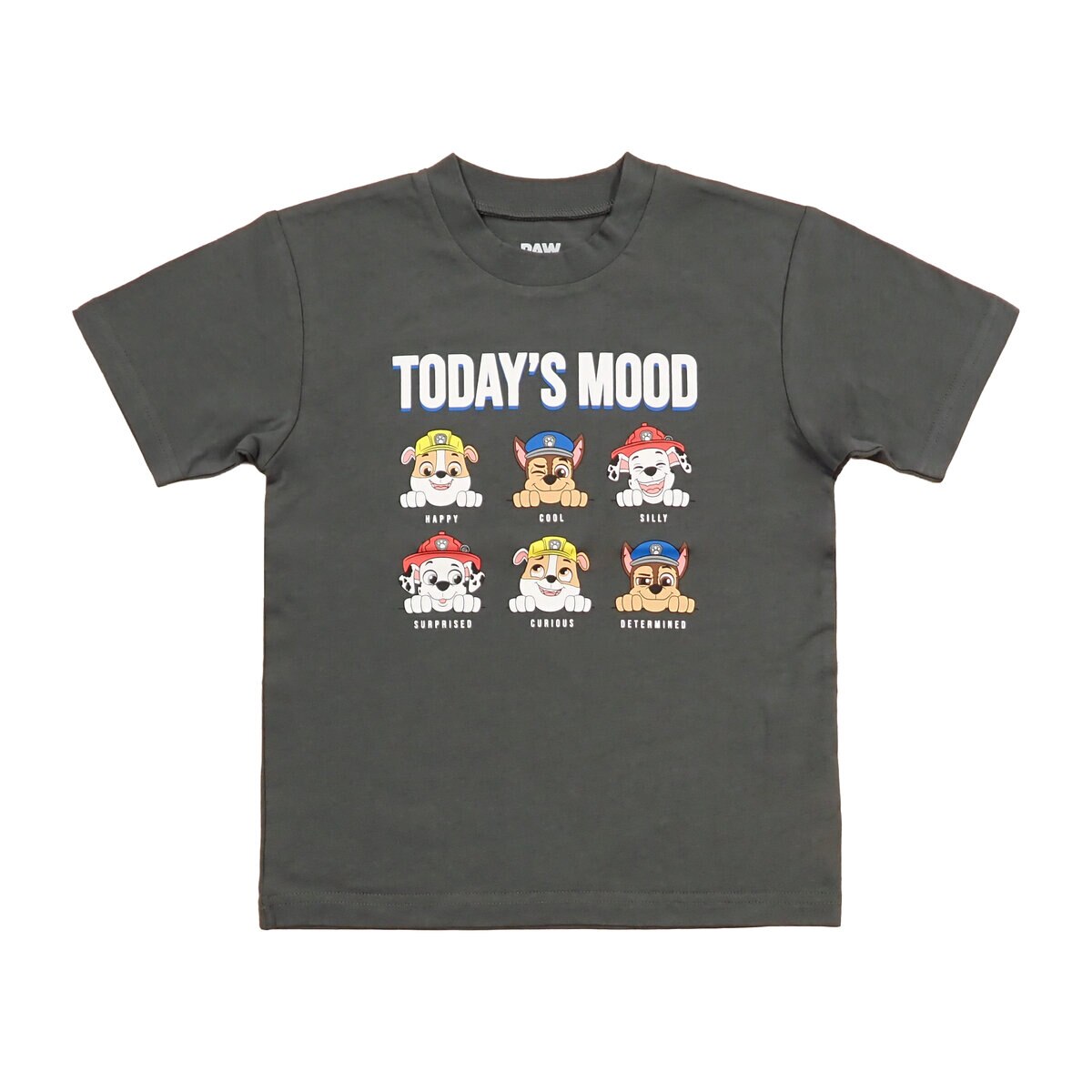パウパトロール キッズ Tシャツ 4枚セット アソート B 110