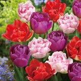 チューリップ　 SRIXON スリクソン ZX7 /ZX5 ドライバー専用 別売りカートリッジ