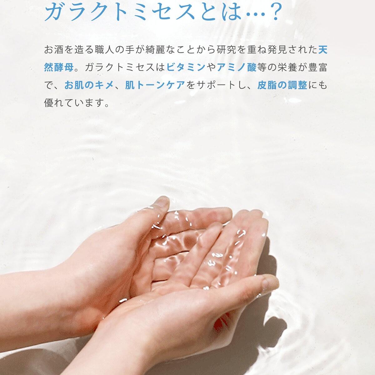 魔女工場 (ma:nyo) ガラクナイアシン2.0エッセンス 50ml x