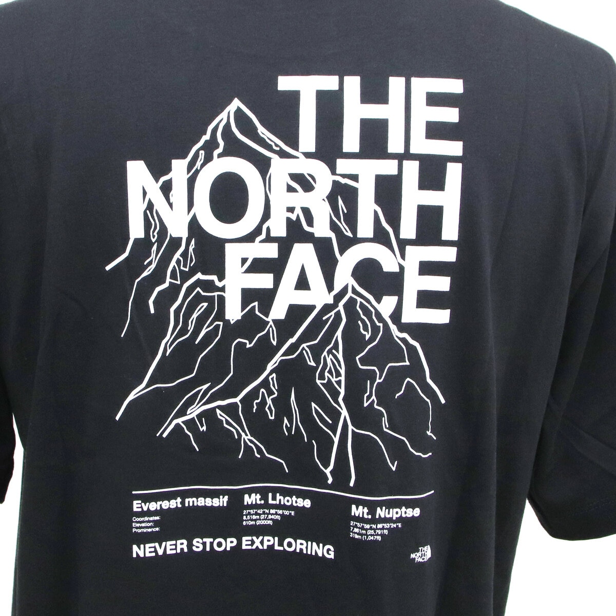 ザ ノースフェイス メンズ エボリューション ハーフ ドーム 半袖 Tシャツ ブラック XL