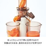 レコルト コールドプレスジューサー ミニ RCJ-1(W)