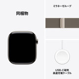 Apple Watch Series 10（GPS + Cellularモデル）- 46mmナチュラルチタニウムケース + ミラネーゼループ